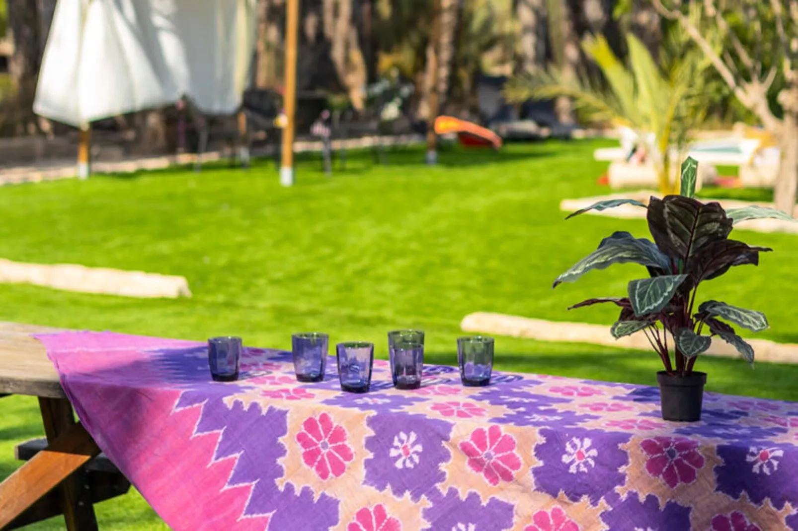 Maison à Elche-Untagged