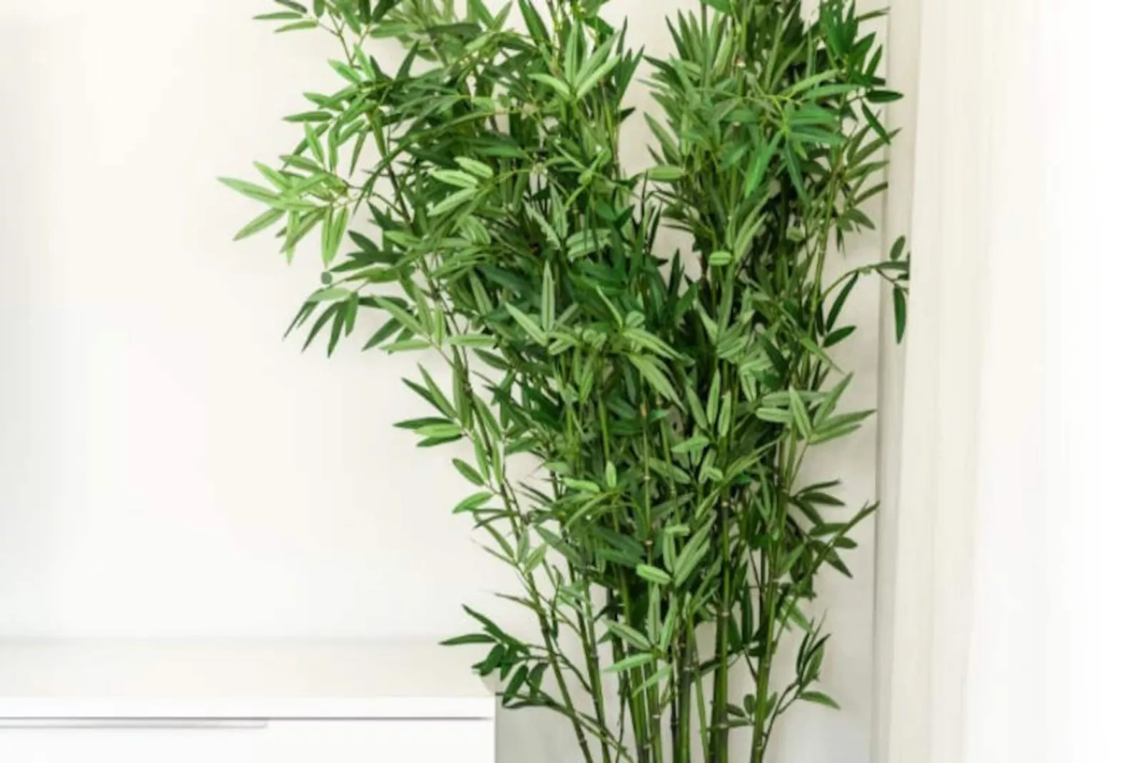 Appartements à Casares-Untagged