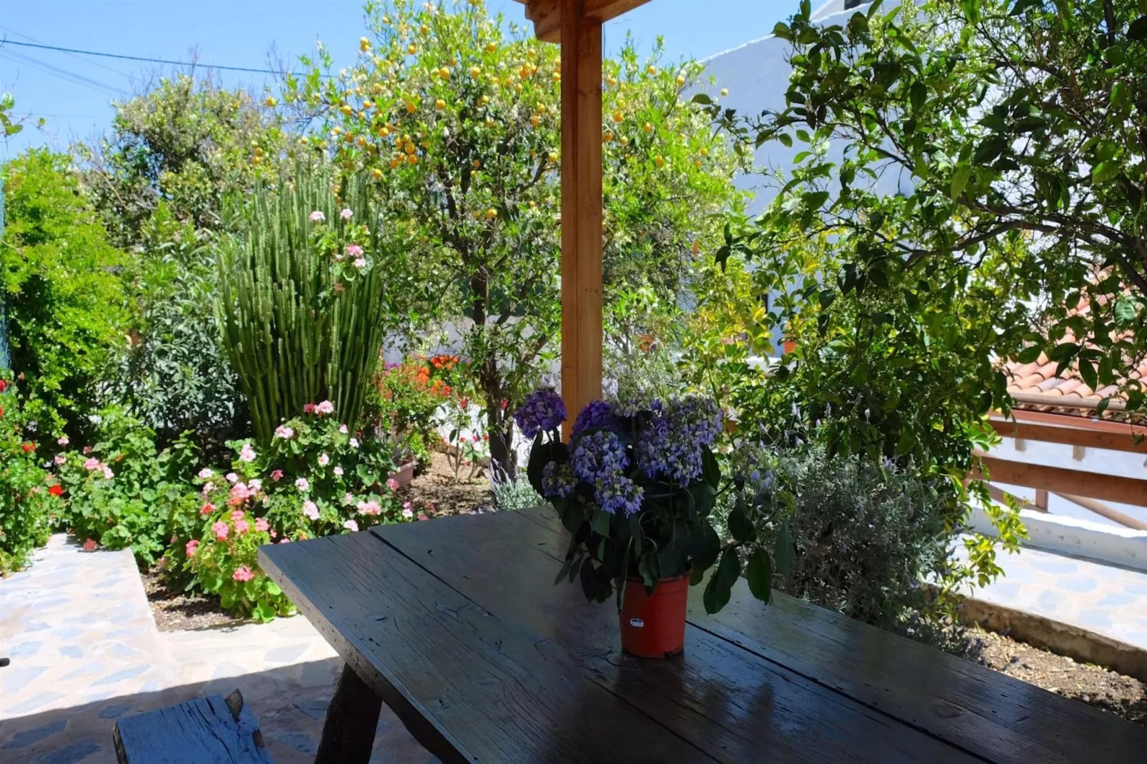 Casa Rural Sofia-Gardens in summer