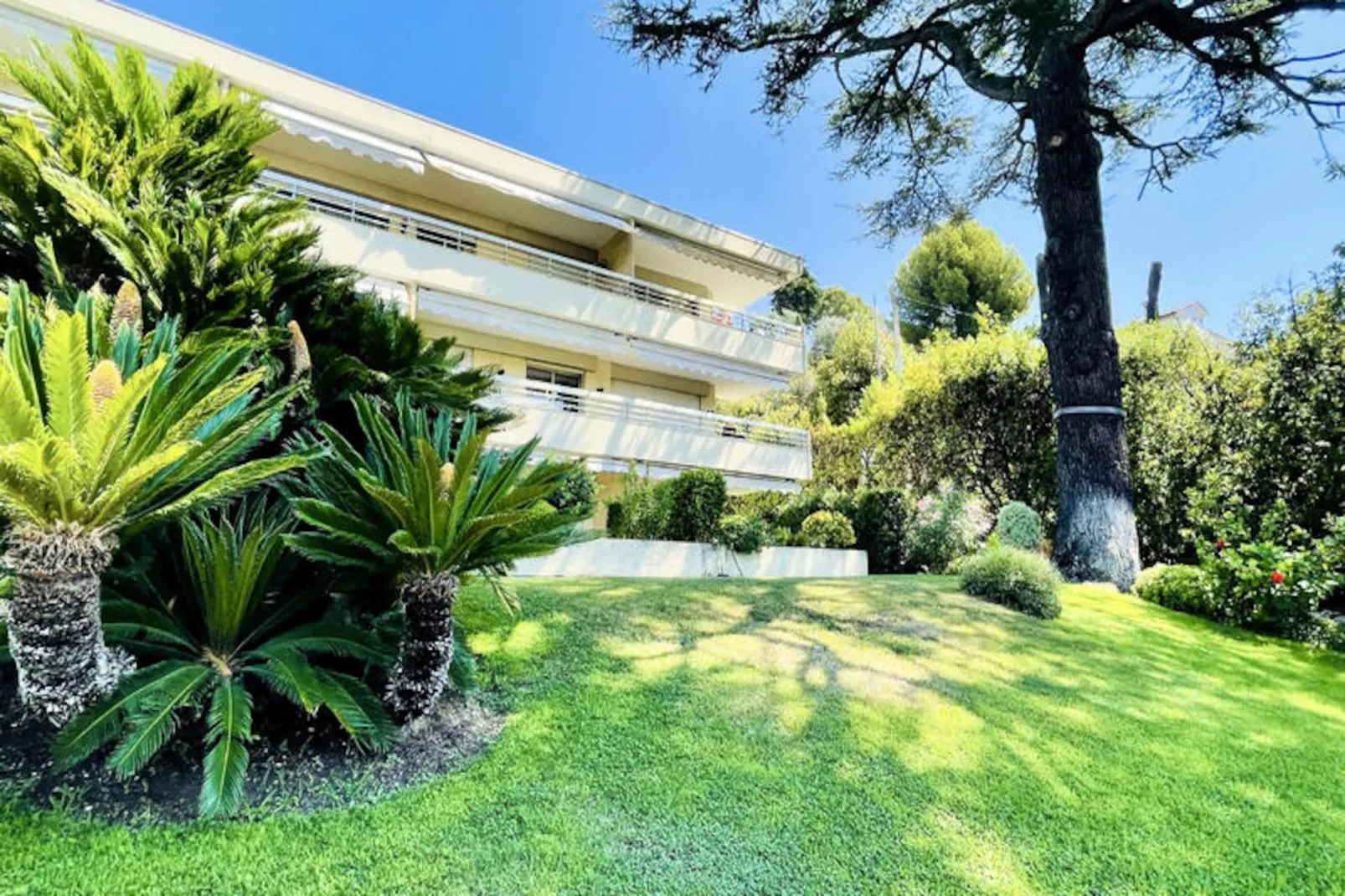 Appartements à Cannes-Untagged