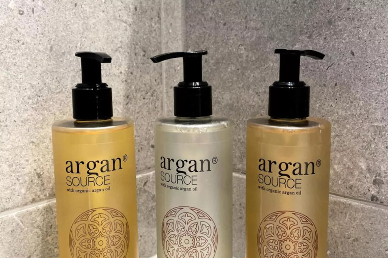 Appartements à Le Mont Dore-Untagged