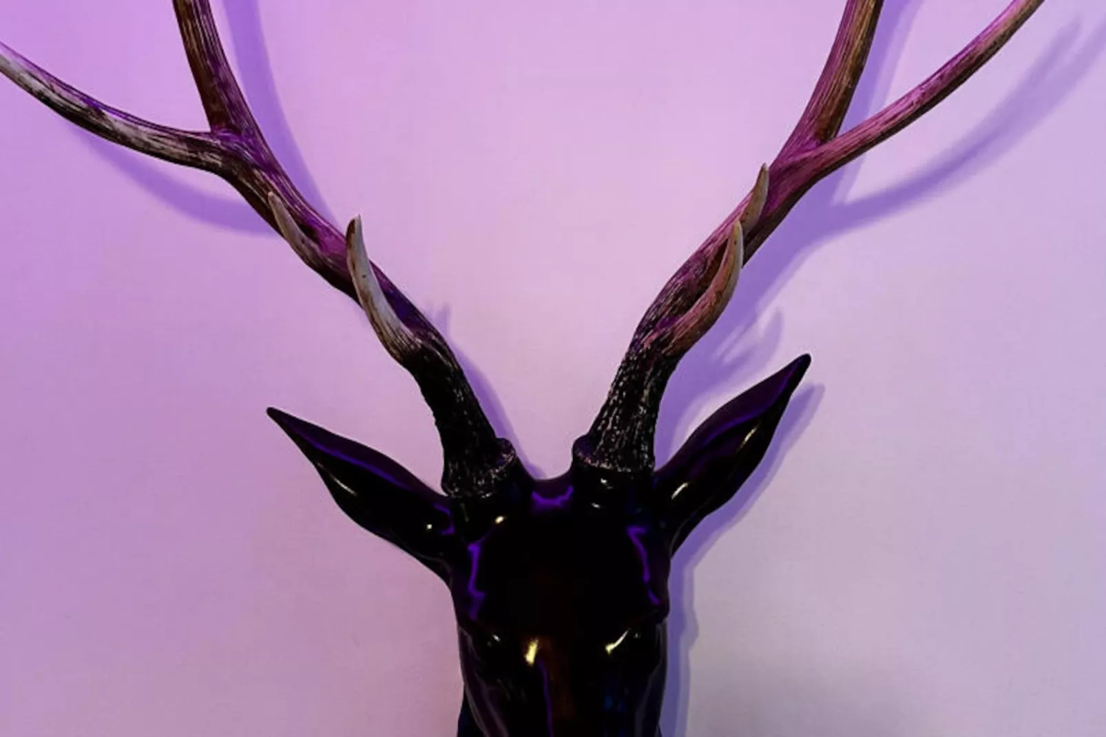 Appartements à Le Mont Dore-Non tagué