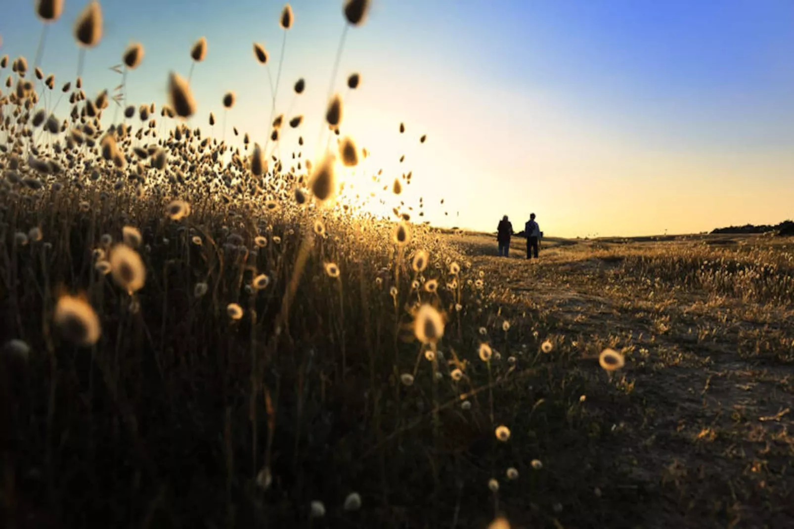 Maison à Barbâtre - Ile de Noirmoutier-Untagged
