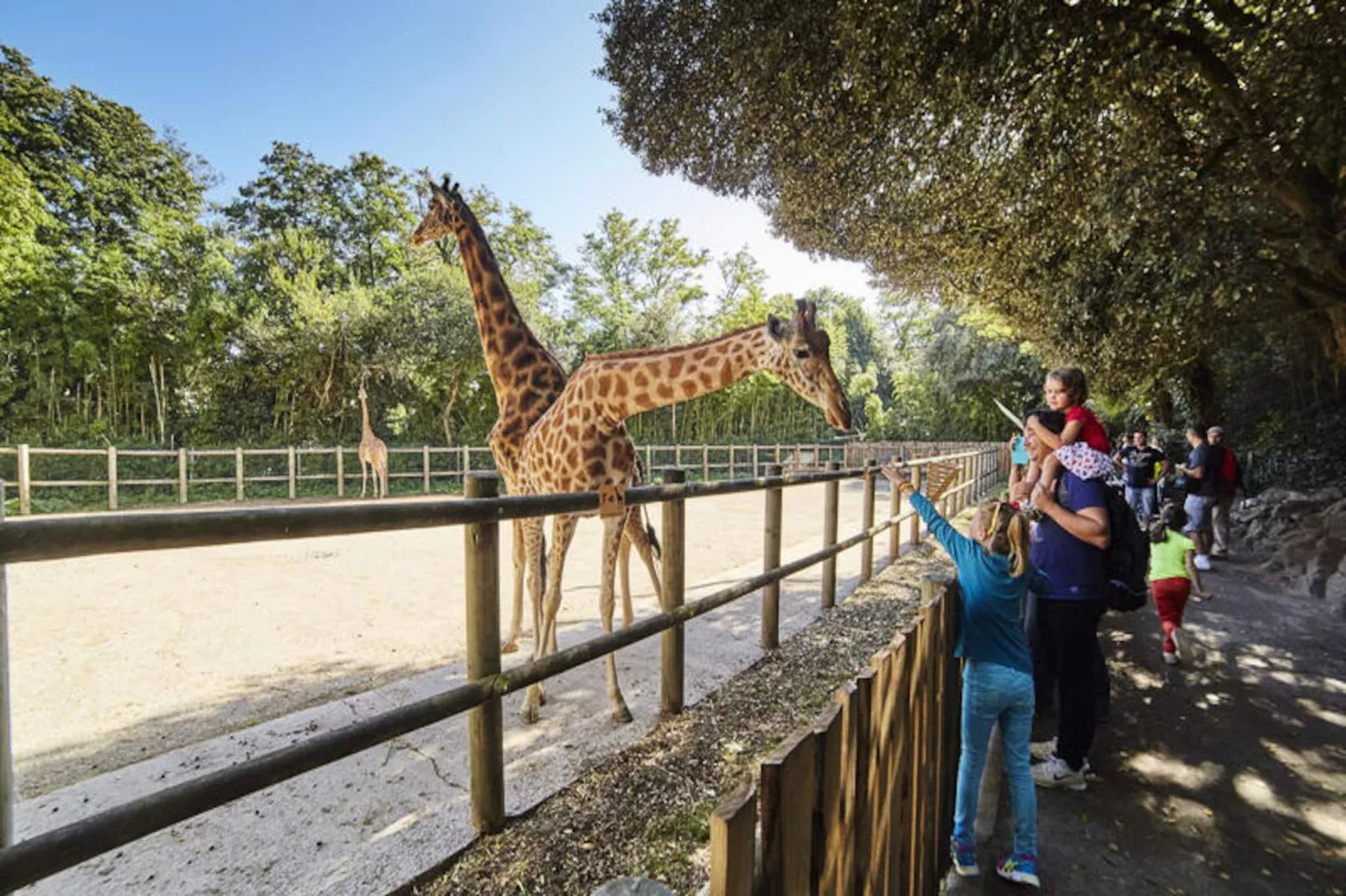 Appartements à Les Sables d'Olonne-Untagged