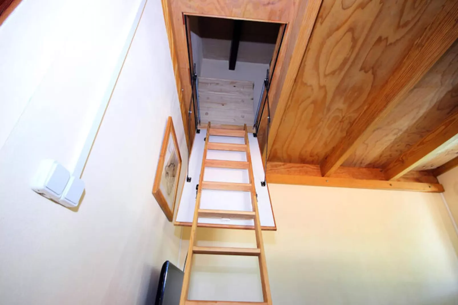 Maison à Muro-Non tagué