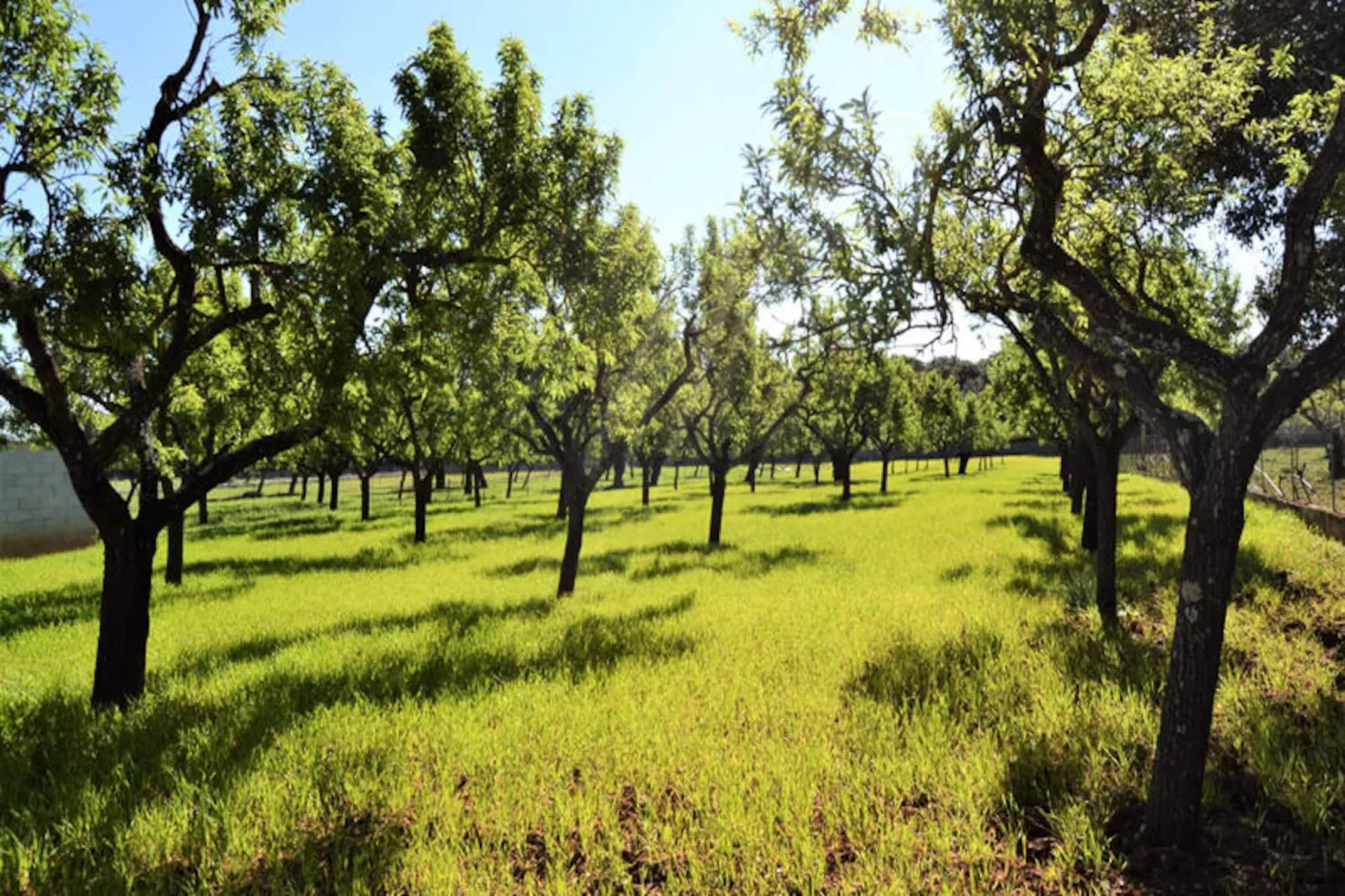 Maison à Búger-Untagged