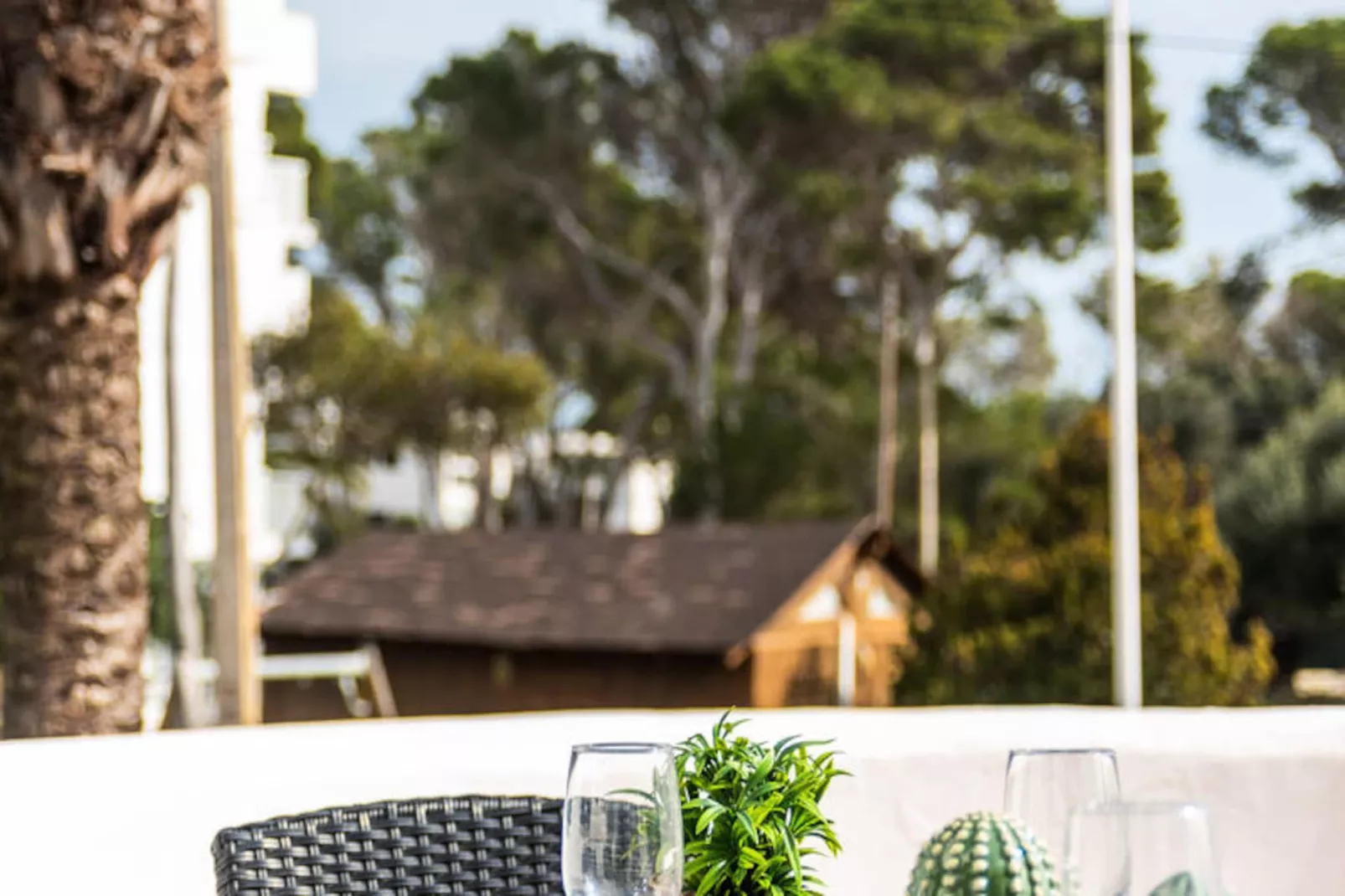 Appartements à Cala Blanca-Nicht zugeordnet