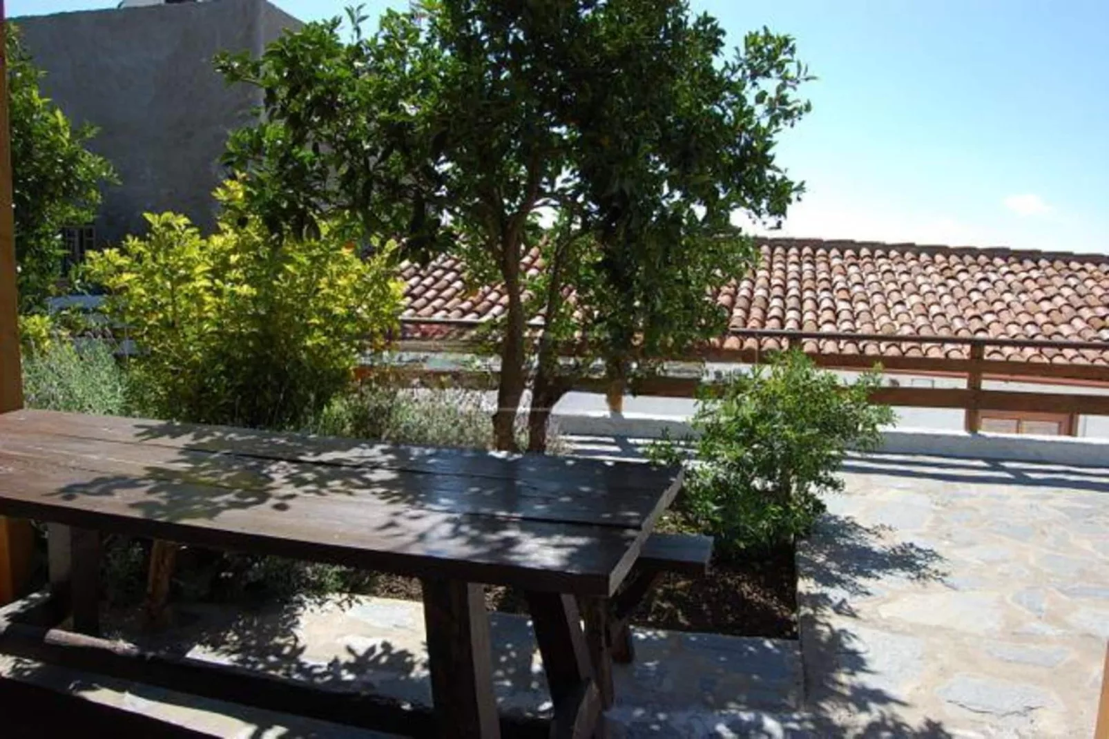 Casa Rural Sofia-View in summer