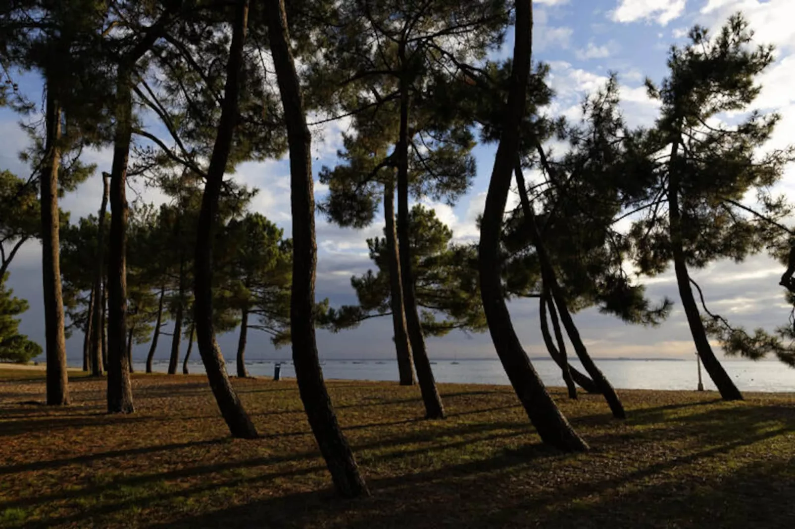Maison à Andernos-les-Bains-Nicht zugeordnet