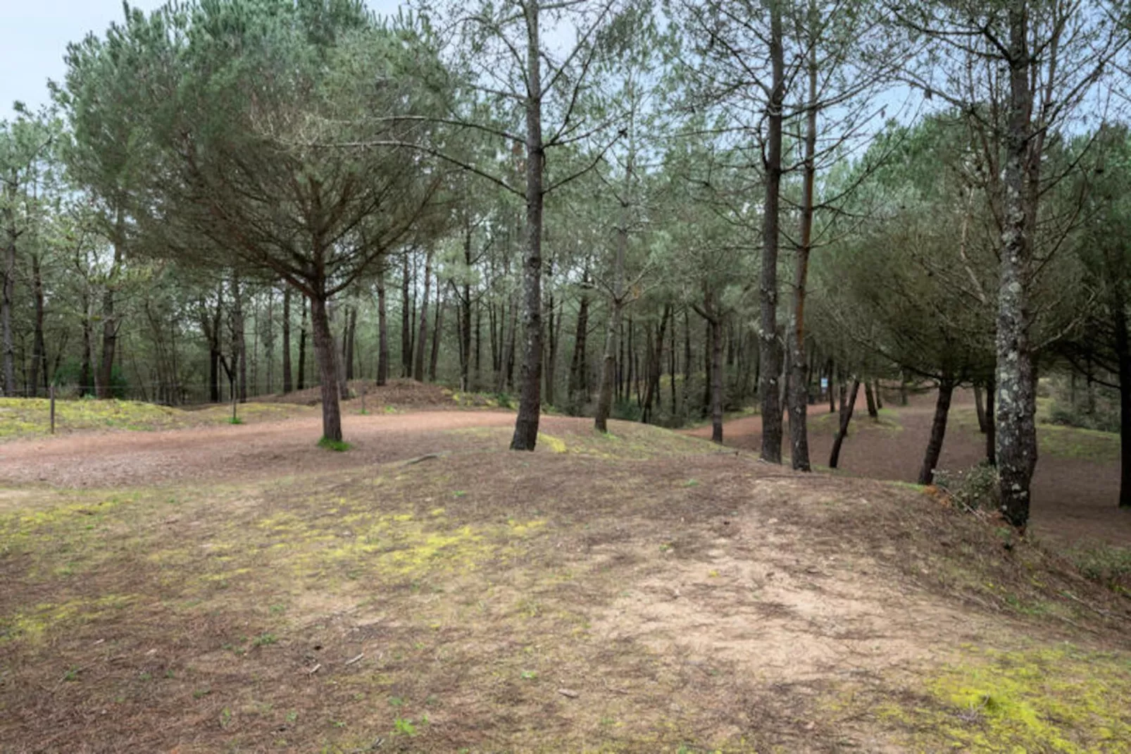 Appartements à Saint-Brevin-les-Pins-Nicht zugeordnet