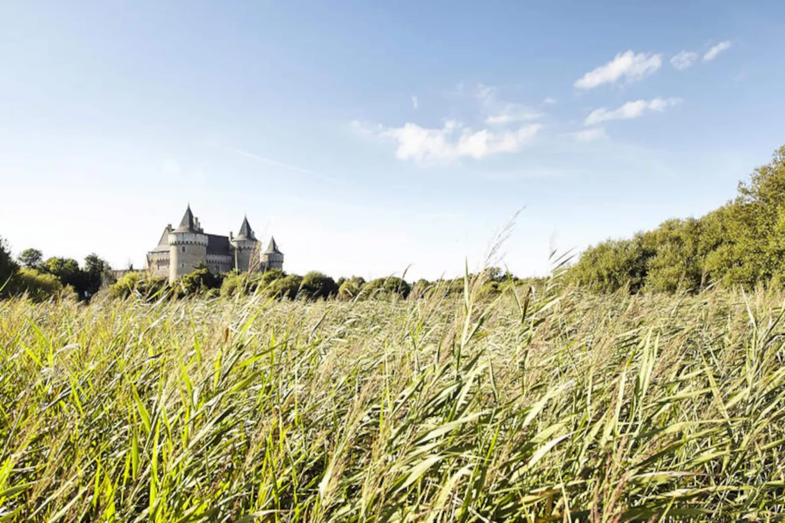 Maison à Sarzeau-Untagged