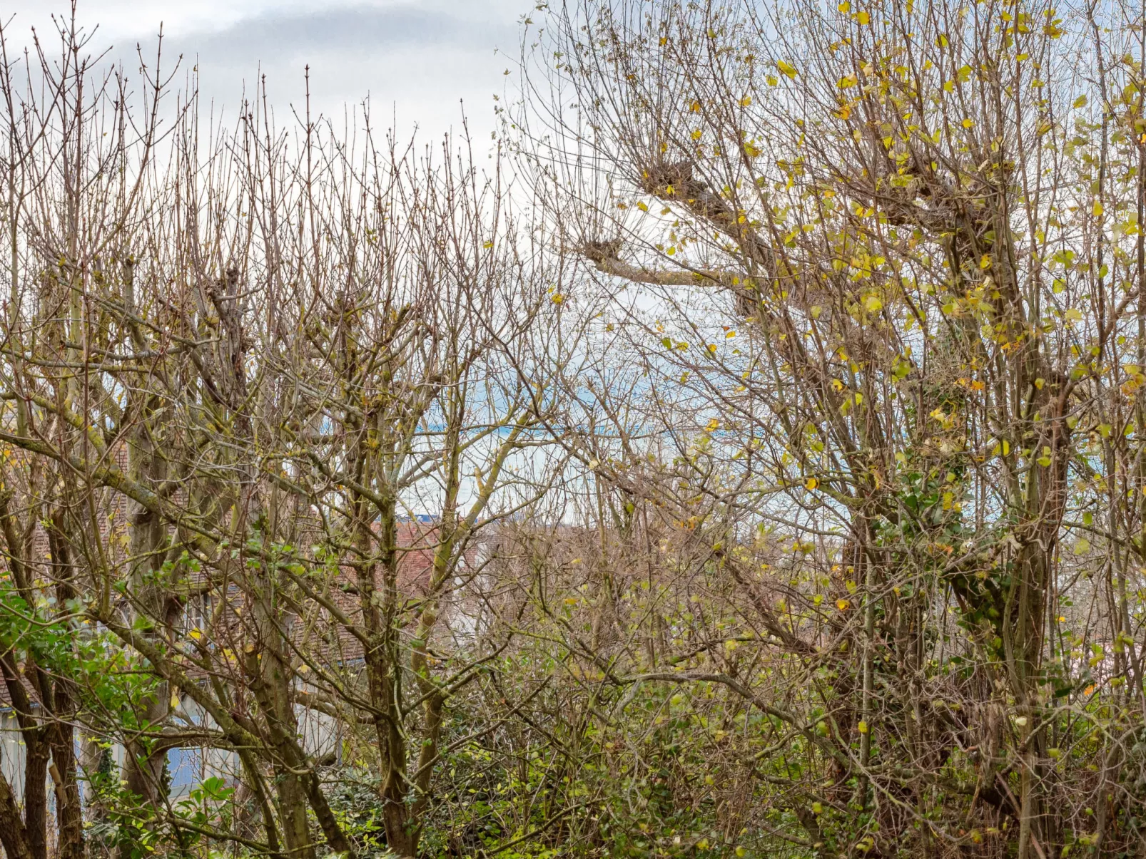 Le Parc de La Jacotte-Dehors