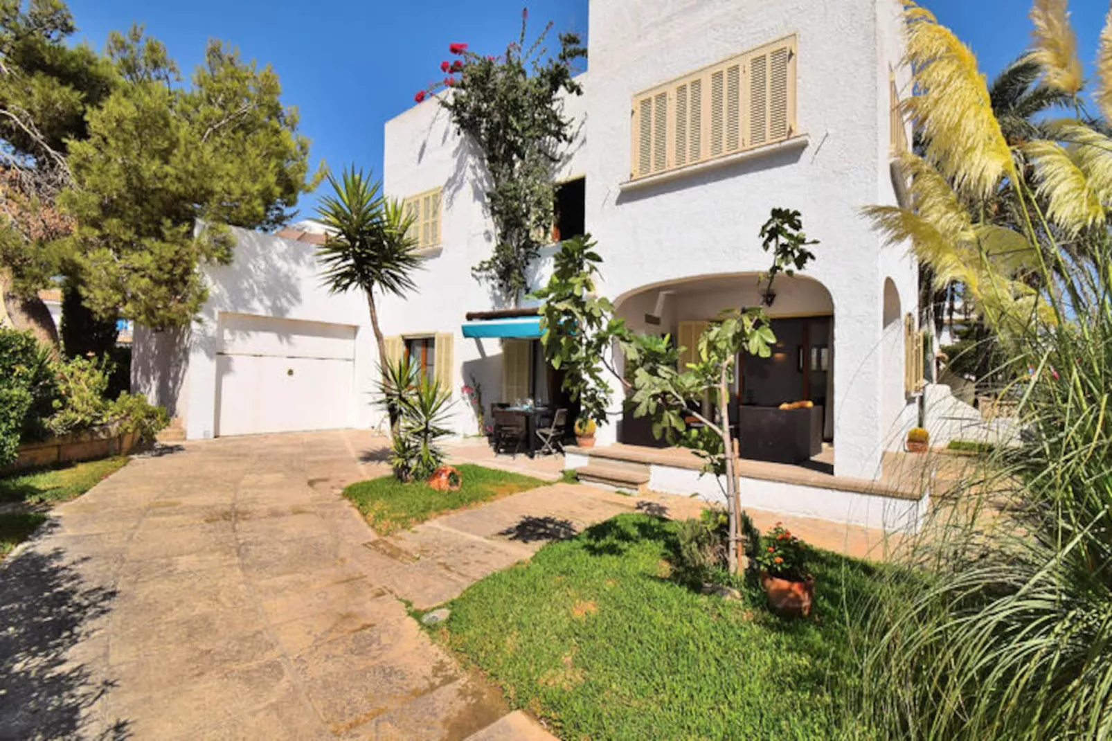 Chalets à Muro-Non tagué