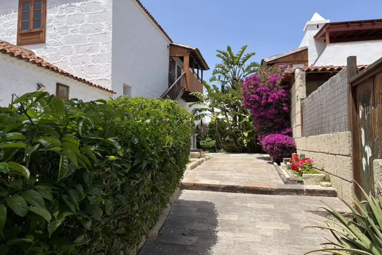 La Bouganvilla - Sitio de la Casa-Exterior in summer