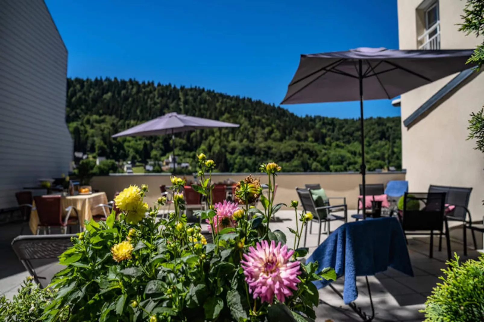 Maison à Le Mont Dore-Nicht zugeordnet