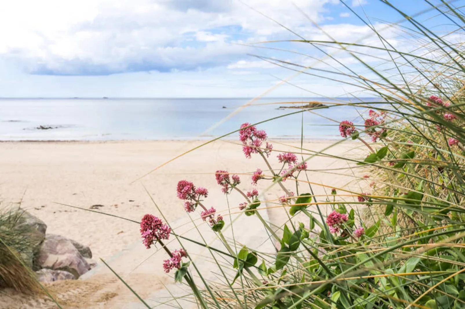 Maison à Erquy-Non tagué
