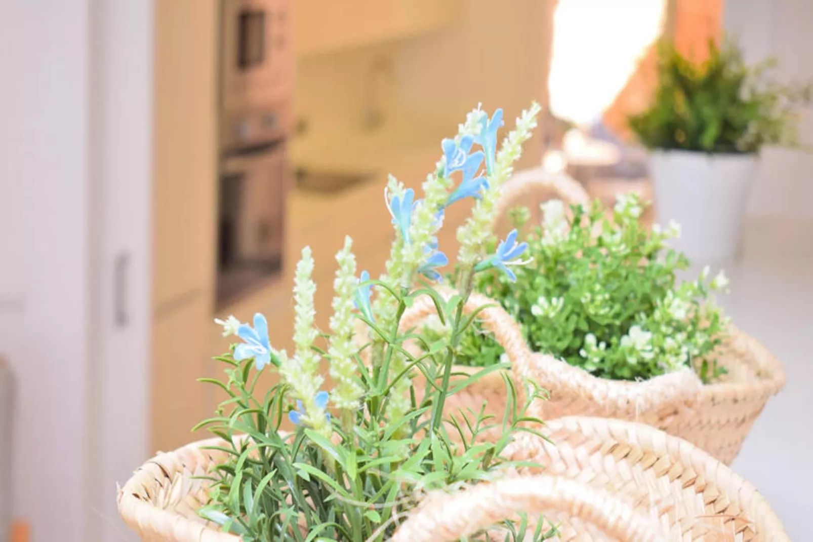 Maison à Muro-Nicht zugeordnet