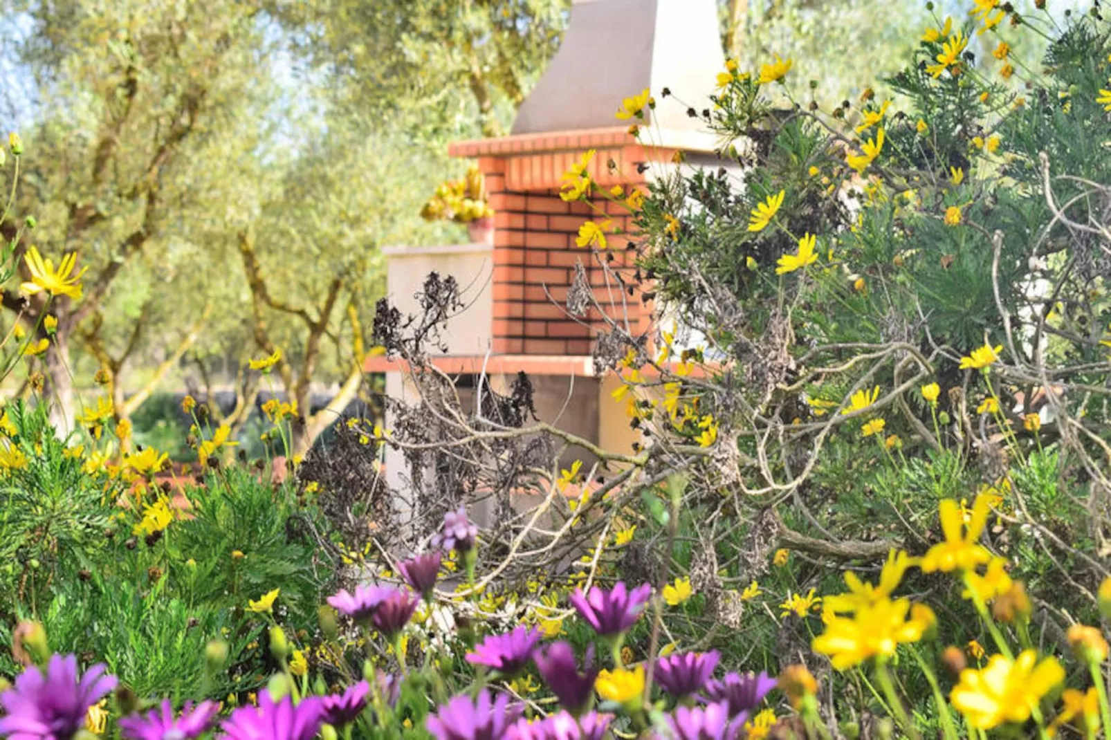 Maison à Ariany-Nicht zugeordnet