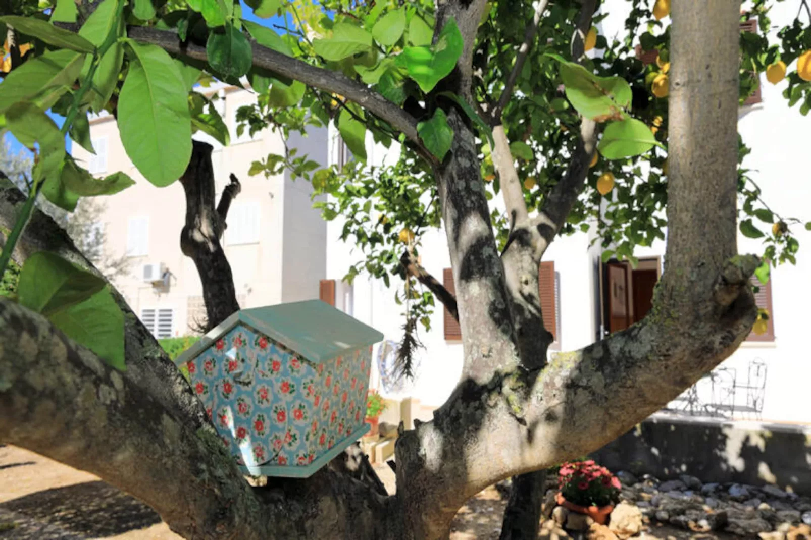 Maison à Alcúdia - Port d'Alcúdia-Non tagué