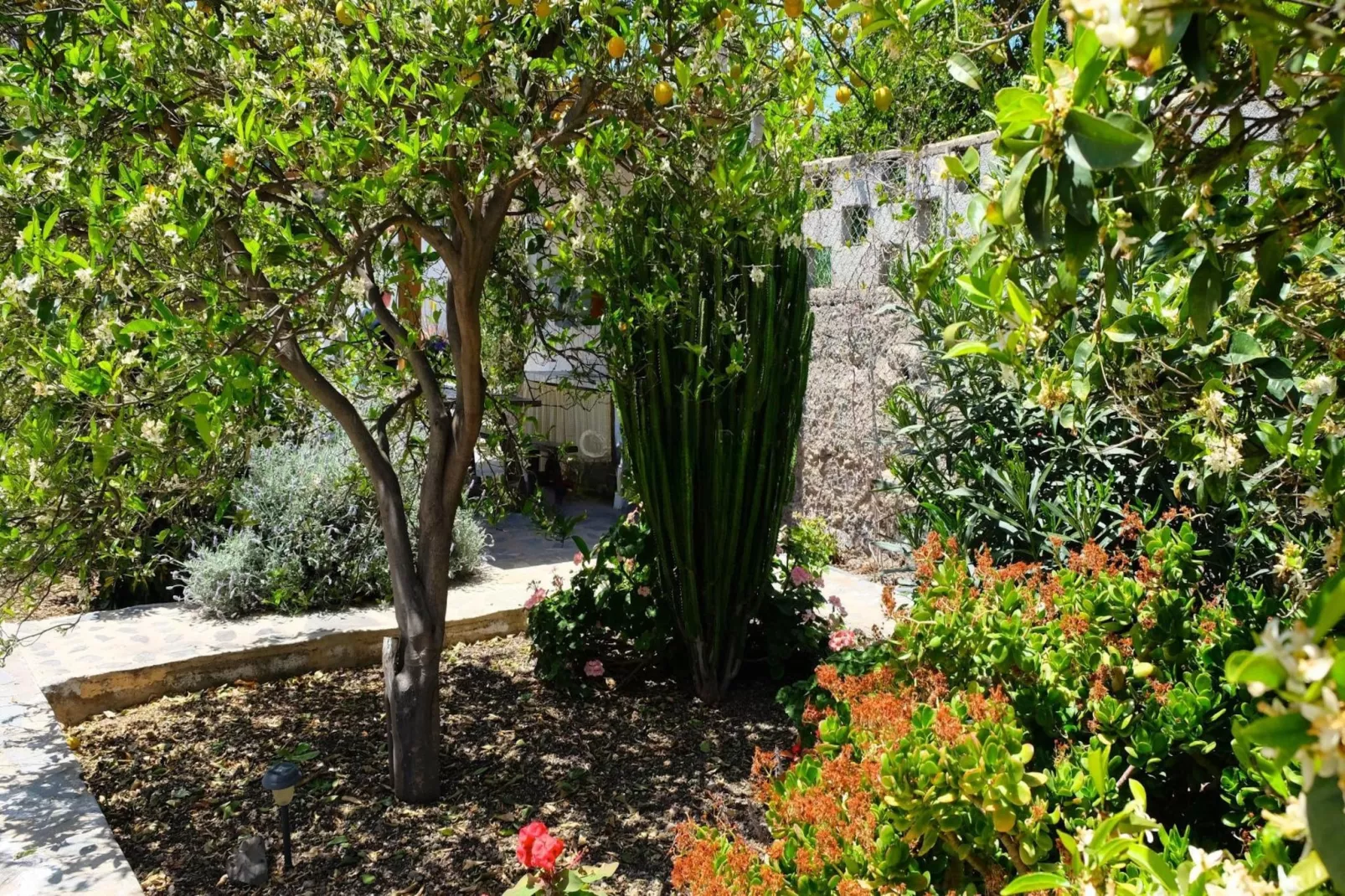 Casa Rural Sofia-Gardens in summer