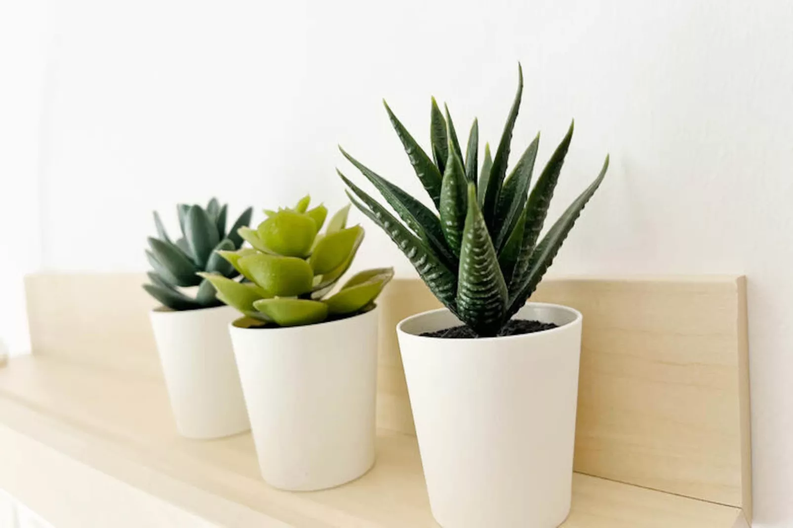 Appartements à Puerto de Sagunto-Nicht zugeordnet