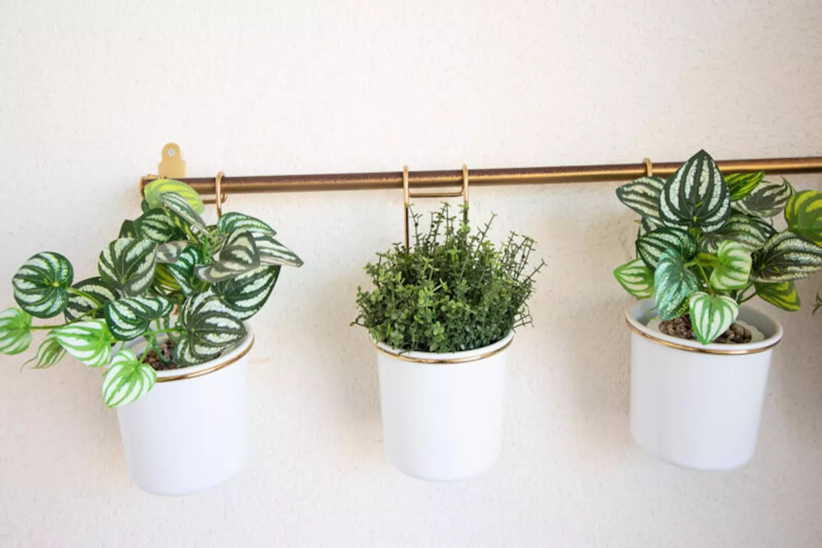 Appartements à Canet d'En Berenguer-Nicht zugeordnet