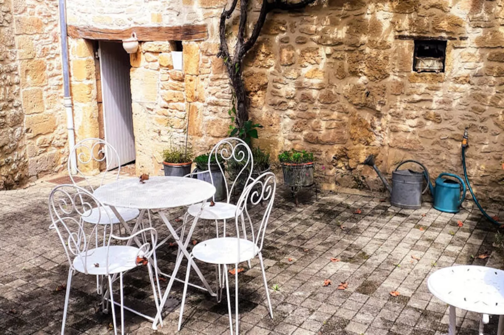 Maison à Saint Leon sur Vezere-Non tagué