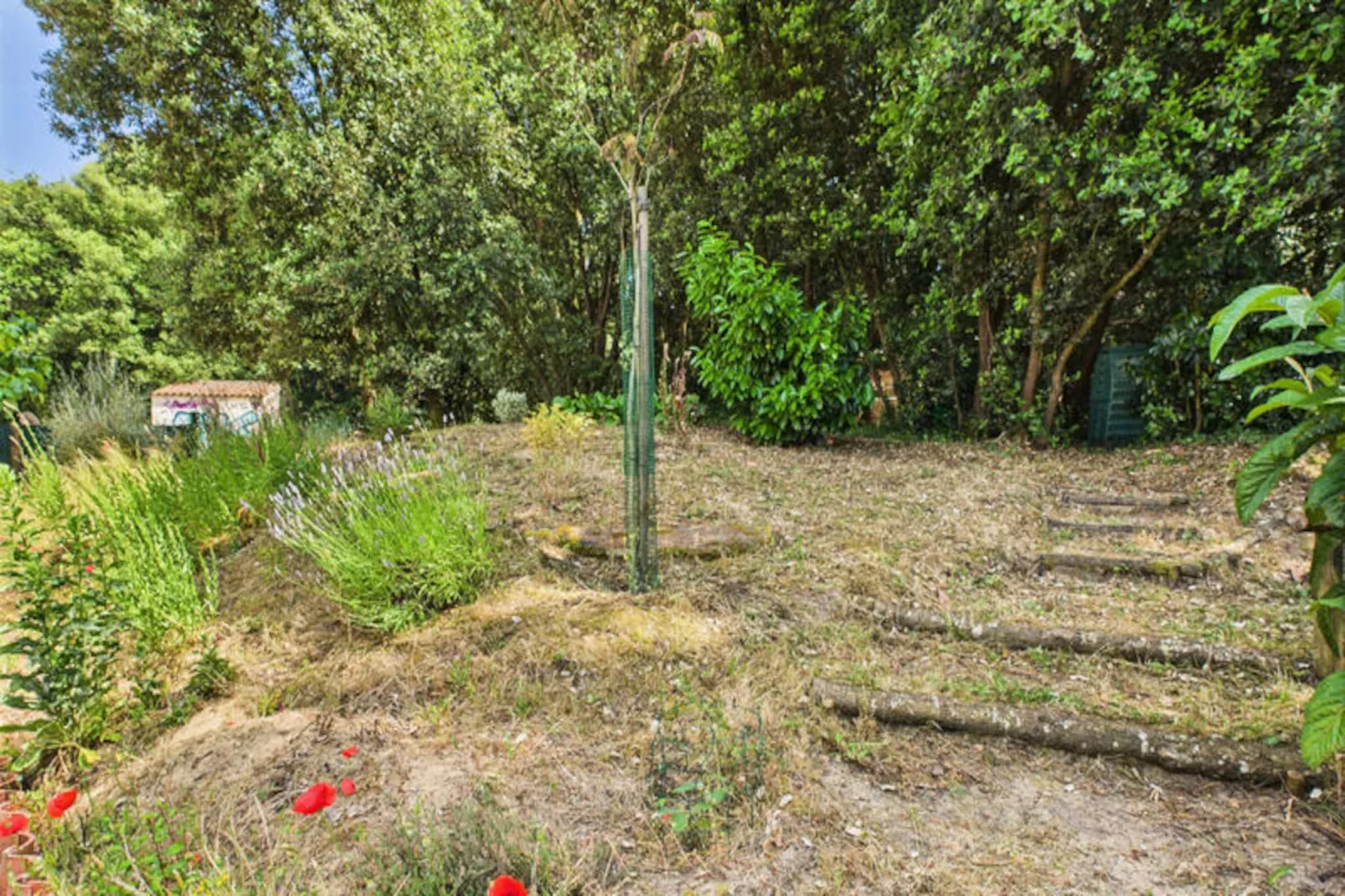 Maison à Longeville-sur-Mer-Untagged
