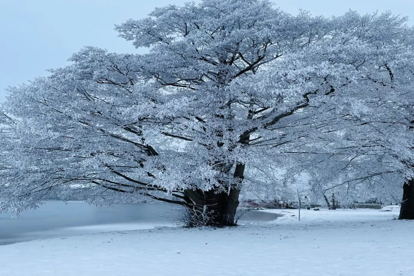 Seeschwalbe Classic 306-Zones hiver à 5 km