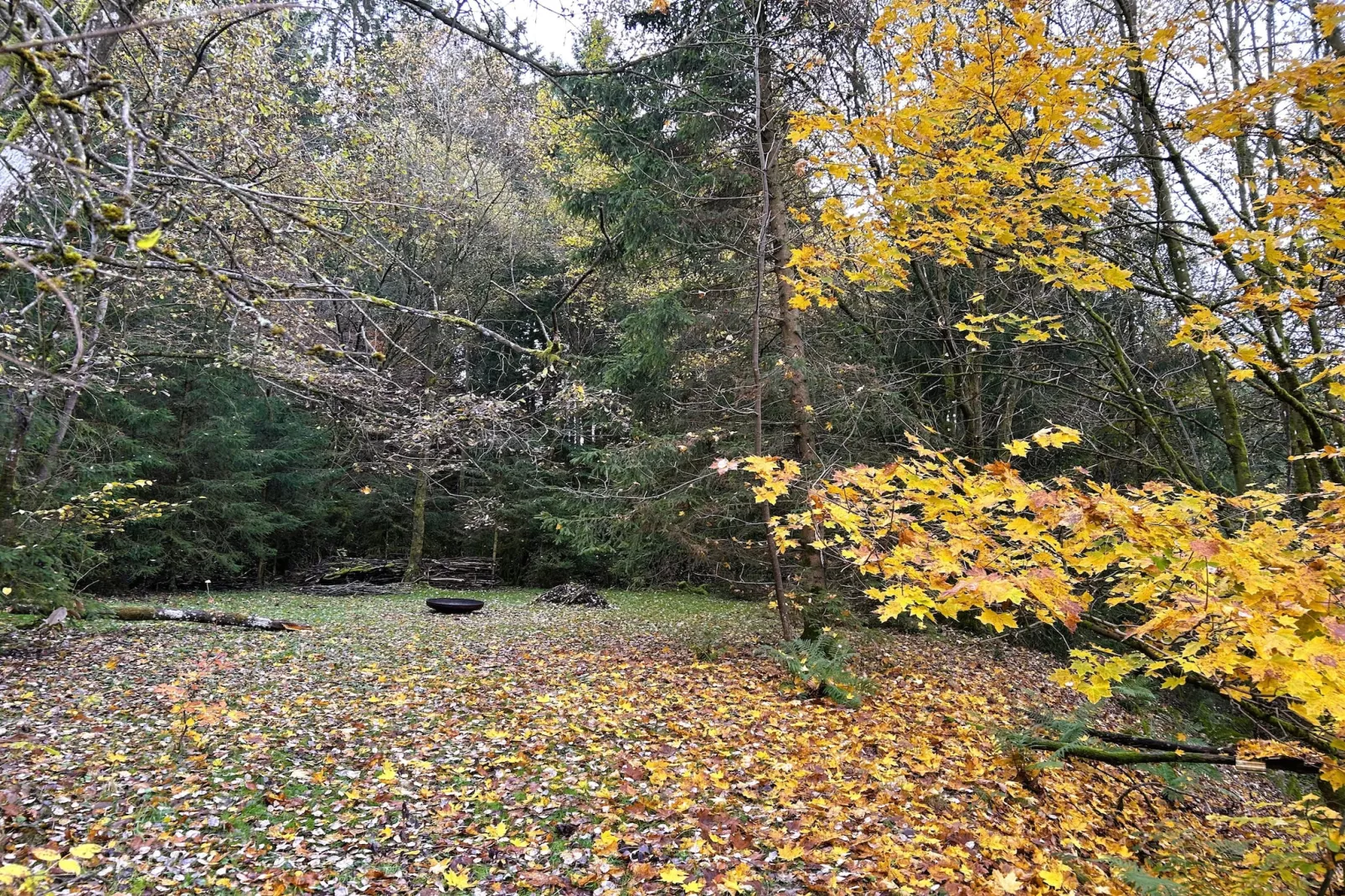 Skjoldenhof-Gardens in summer
