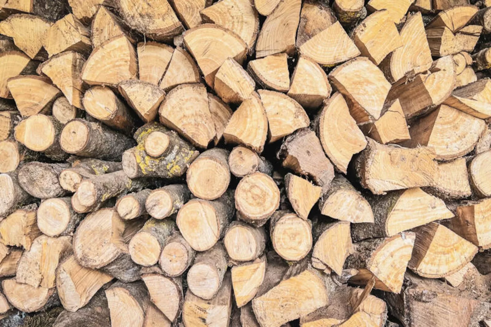 Appartements à Montagut i Oix-Non tagué