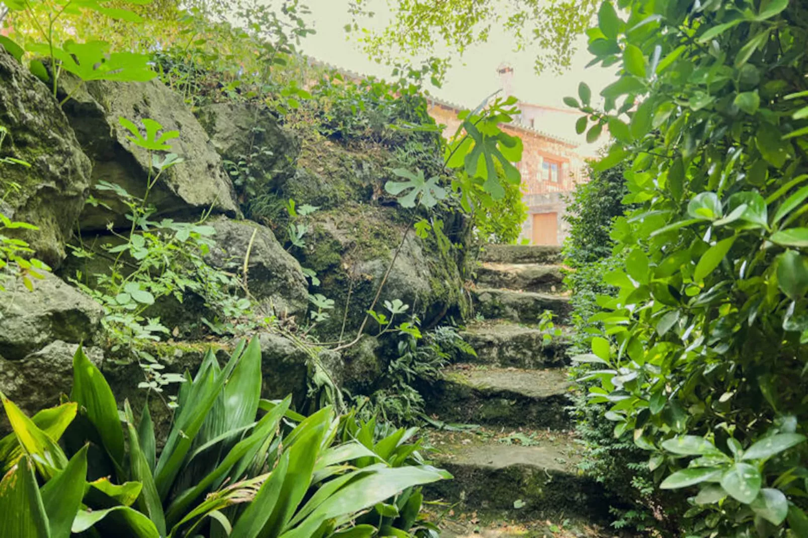 Appartements à Sant Feliu de Pallerols-Nicht zugeordnet