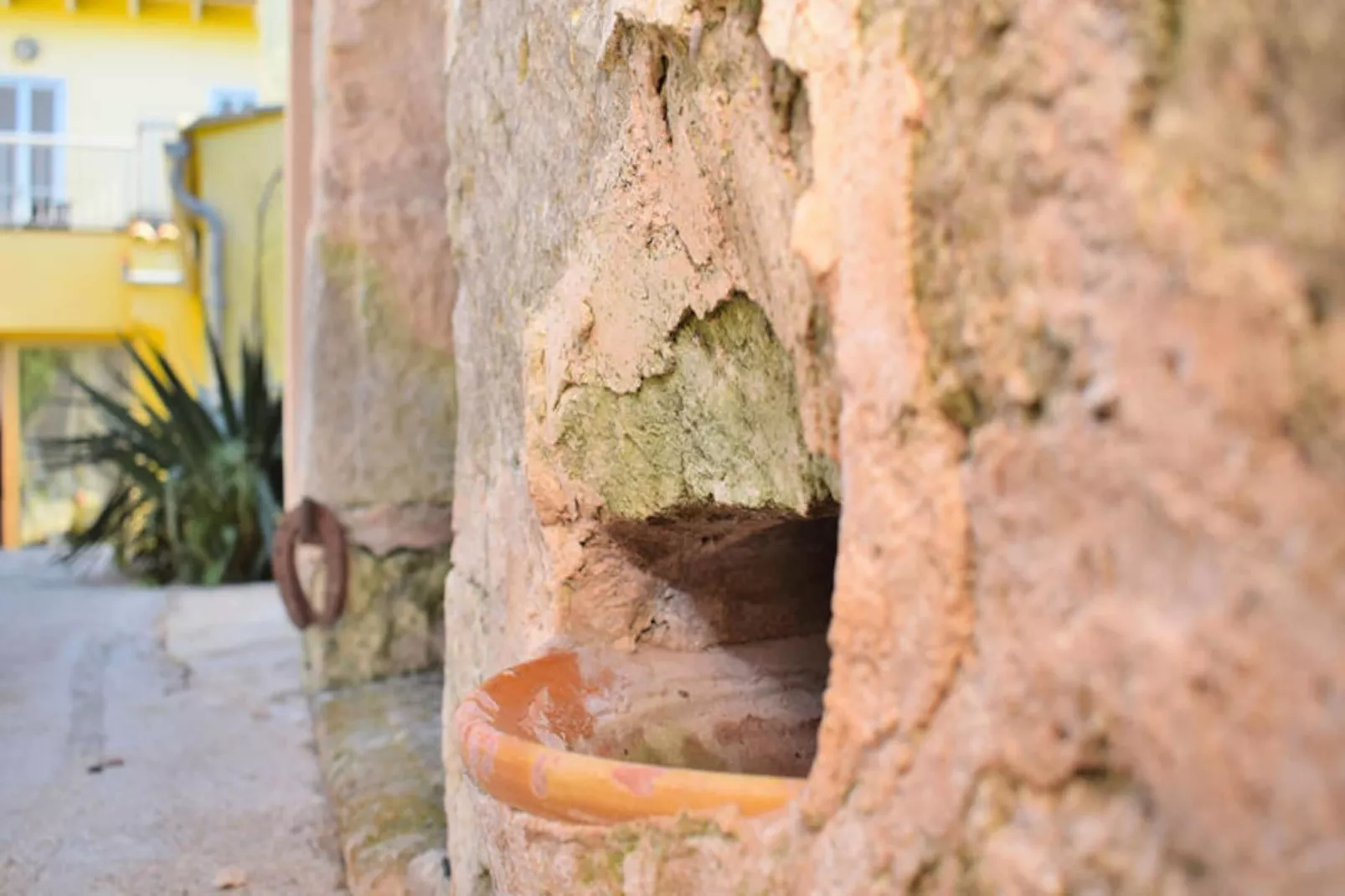 Maison à Muro-Non tagué