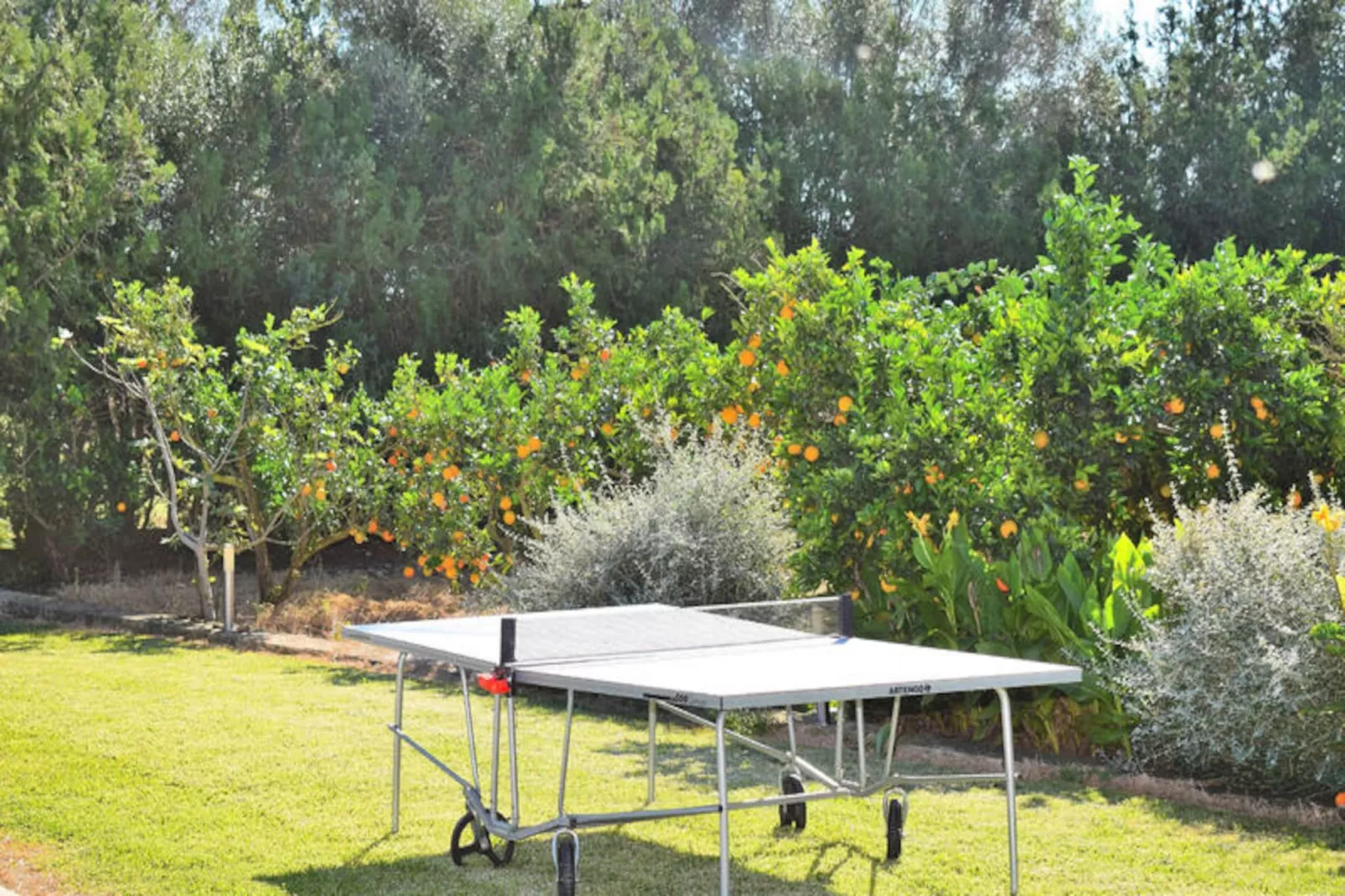 Maison à Muro-Non tagué