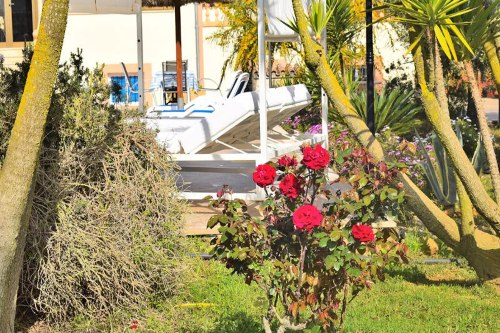 Maison à Ariany-Nicht zugeordnet