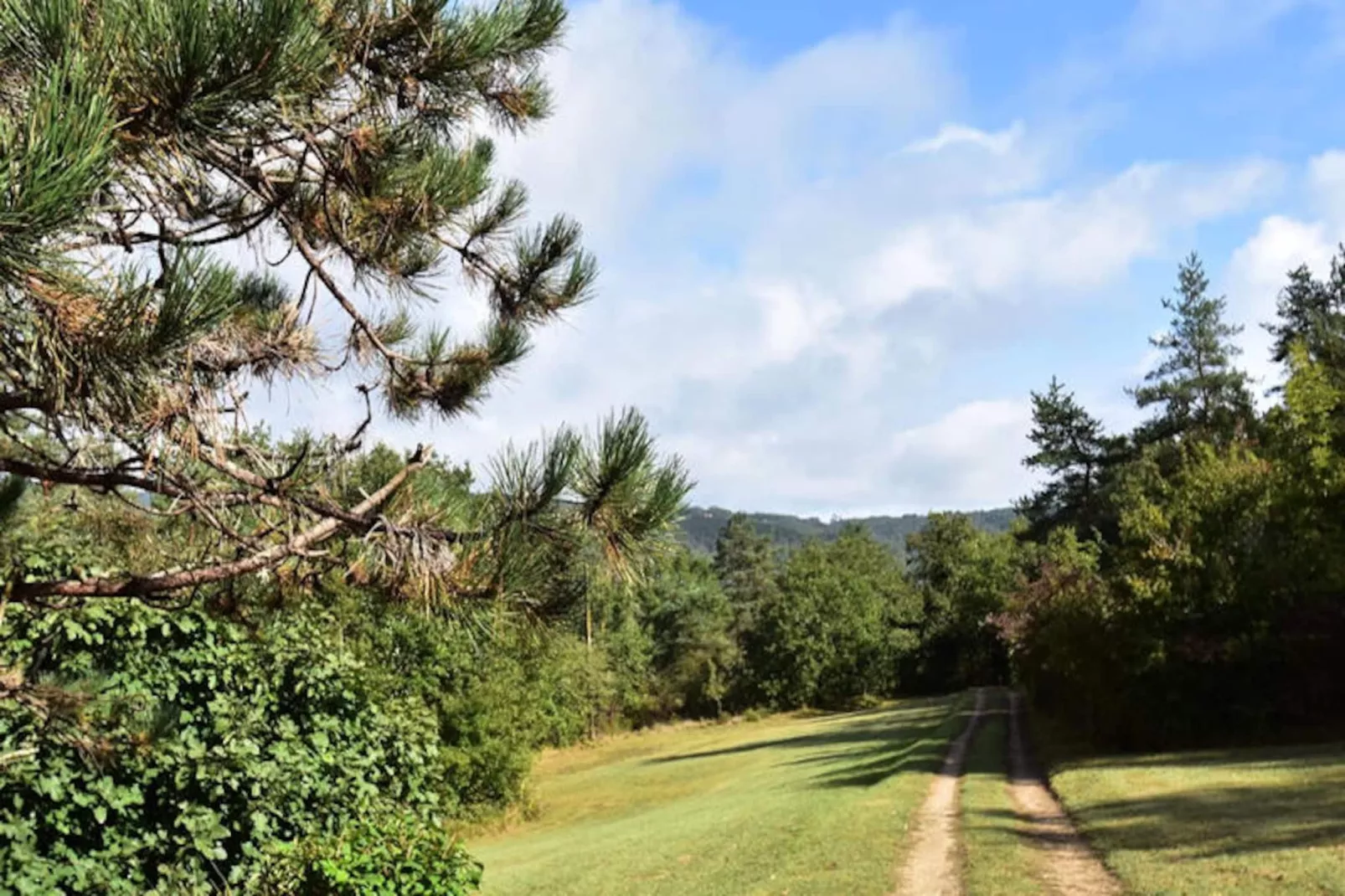 Maison à Peyzac le Moustier-Non tagué