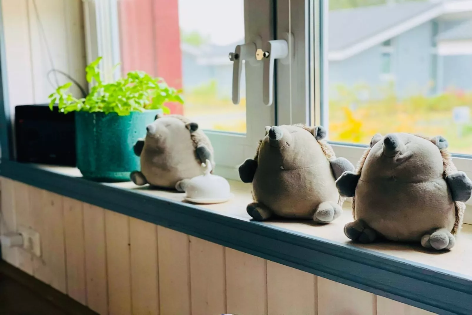 Seeschwalbe Classic 306-Ambiance