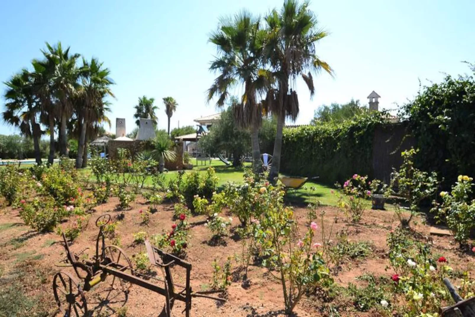 Maison à Muro-Non tagué