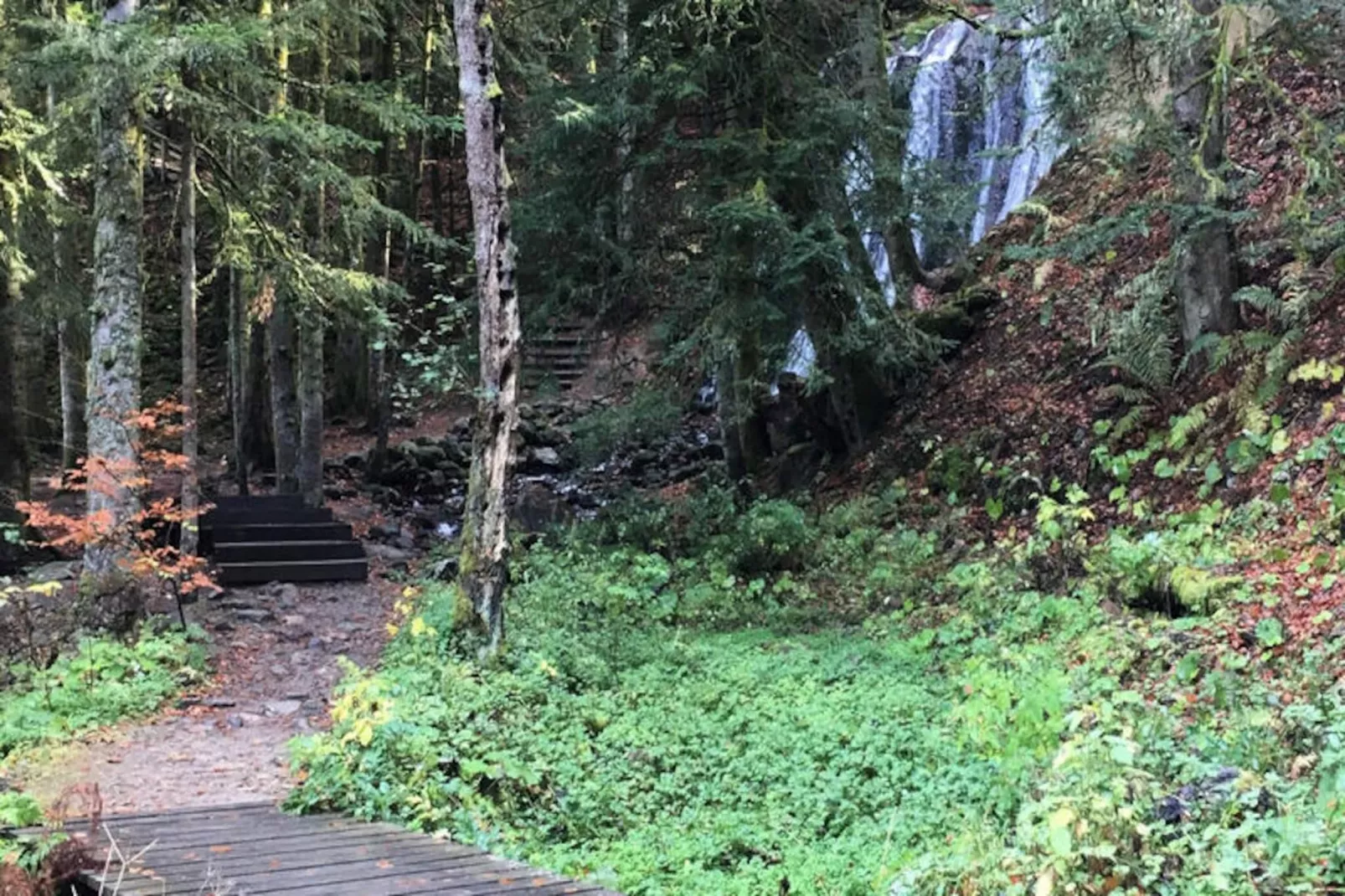Appartements à Le Mont Dore-Untagged