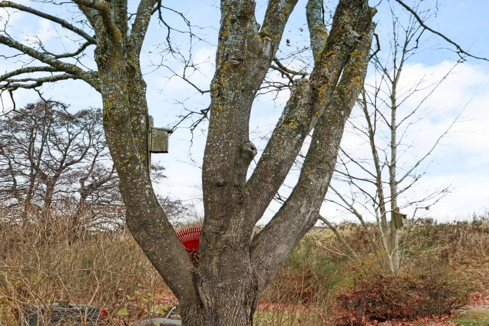 5 etoiles maison de vacances a FALKENBERG-Non tagué