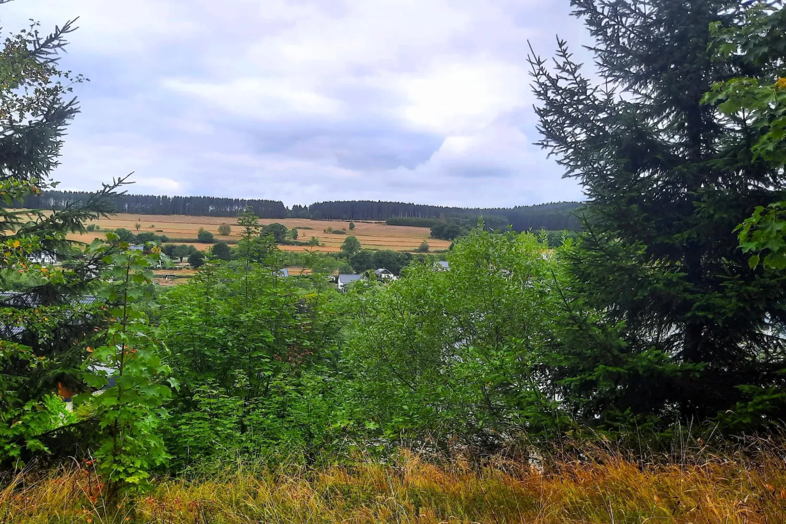 Skjoldenhof-View in summer