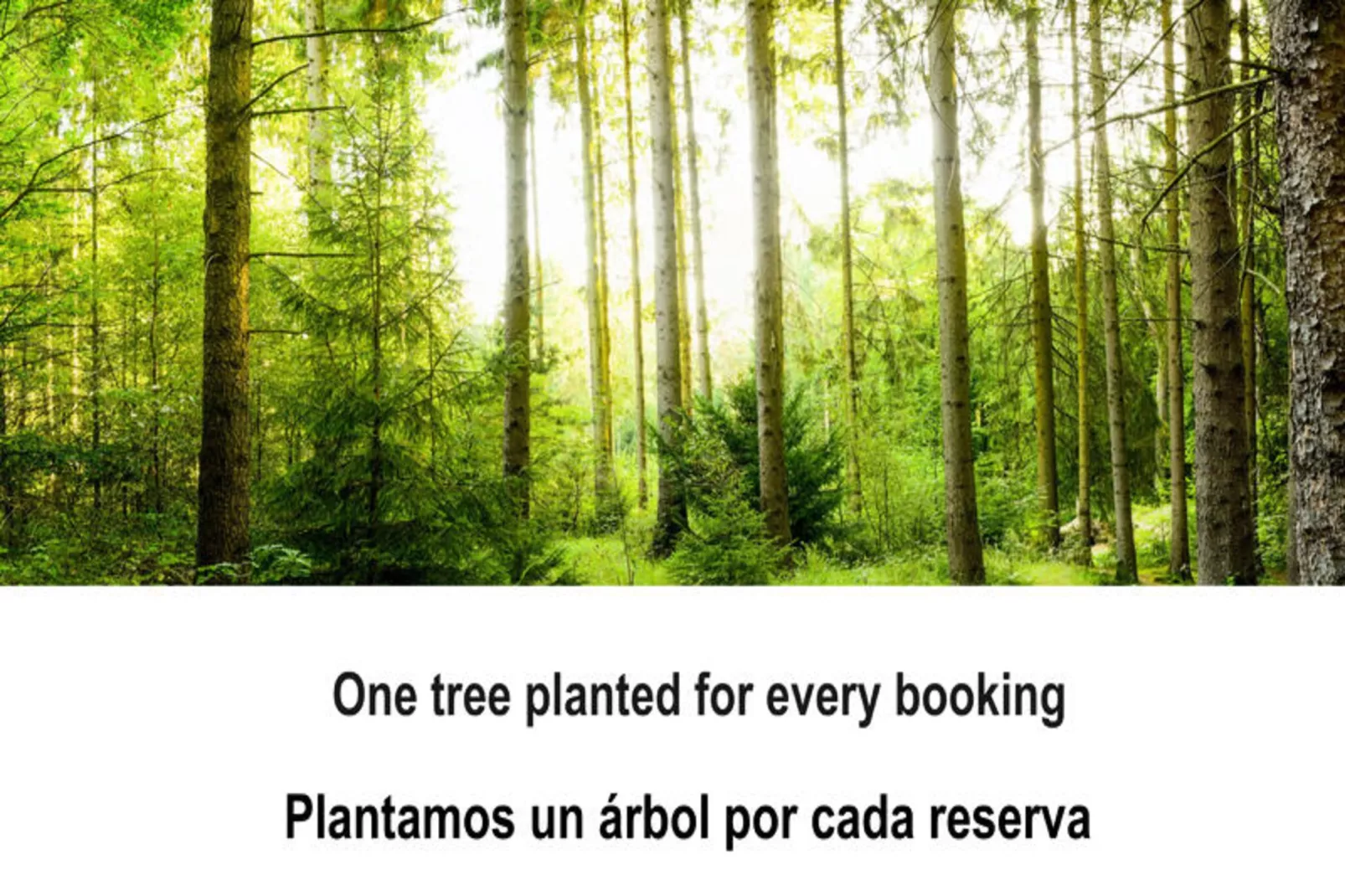 Chalets à Guardamar del Segura-Non tagué