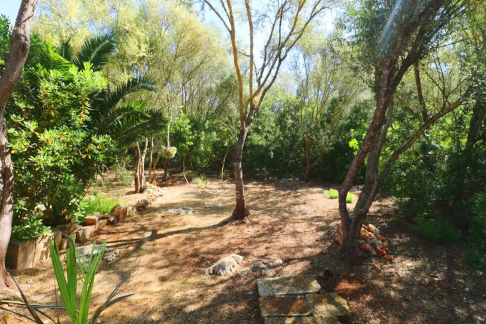 Maison à Campos-Non tagué