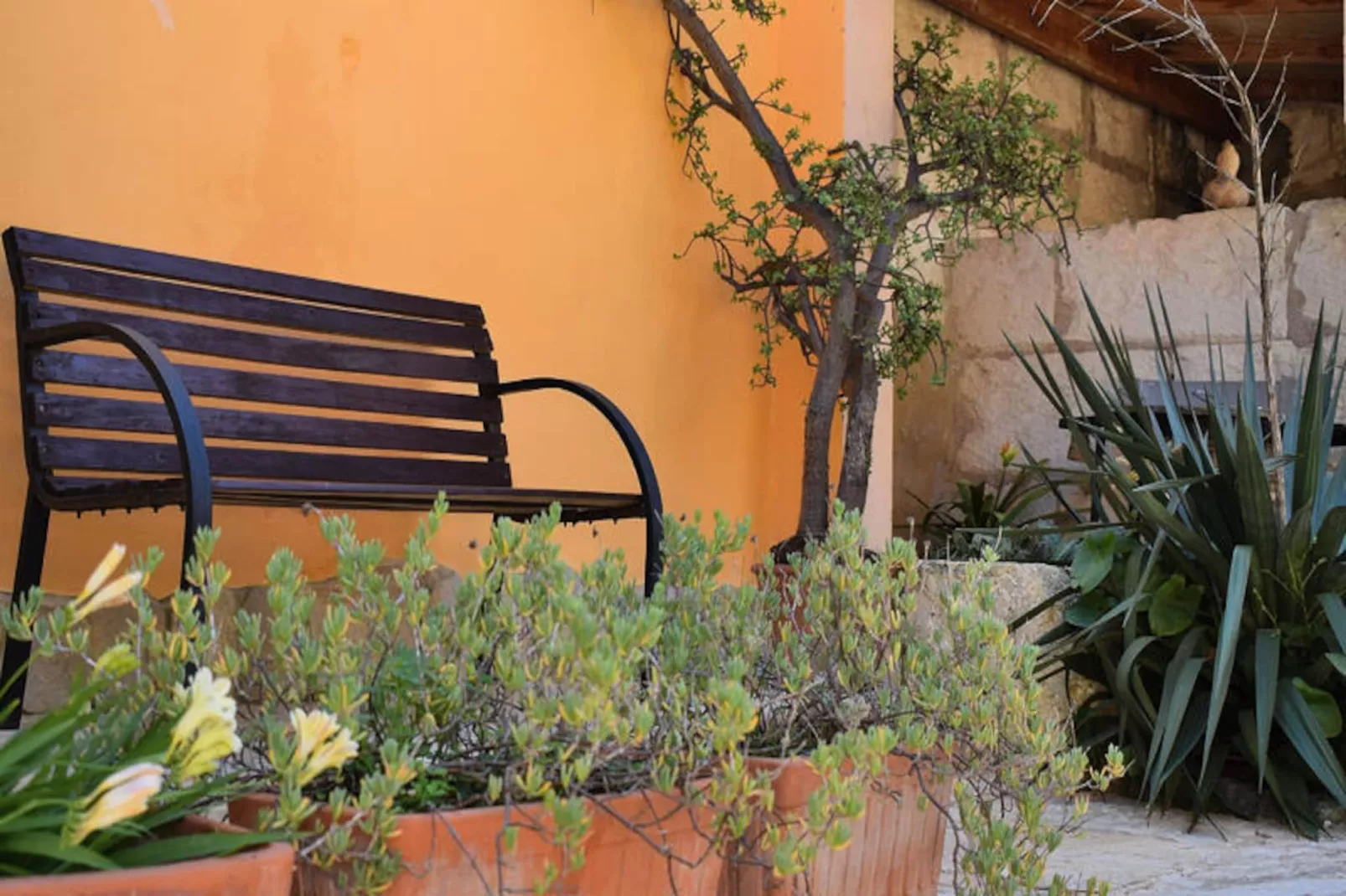 Maison à Muro-Non tagué