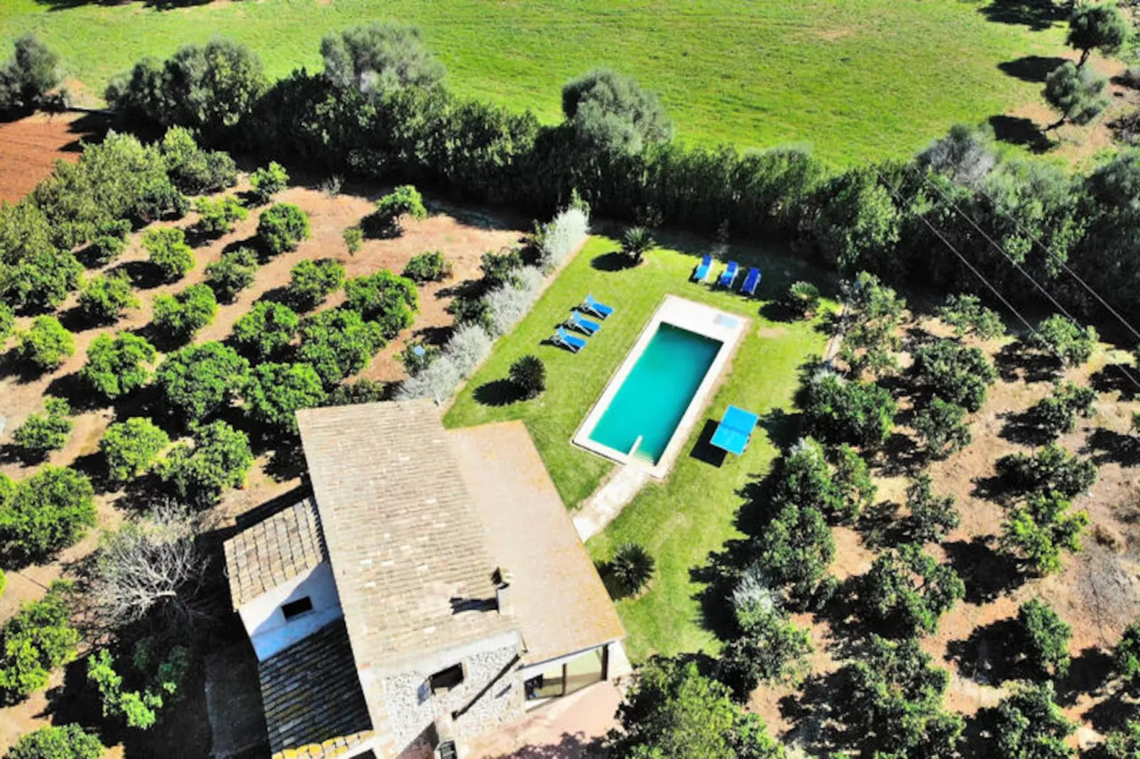 Maison à Muro-Non tagué