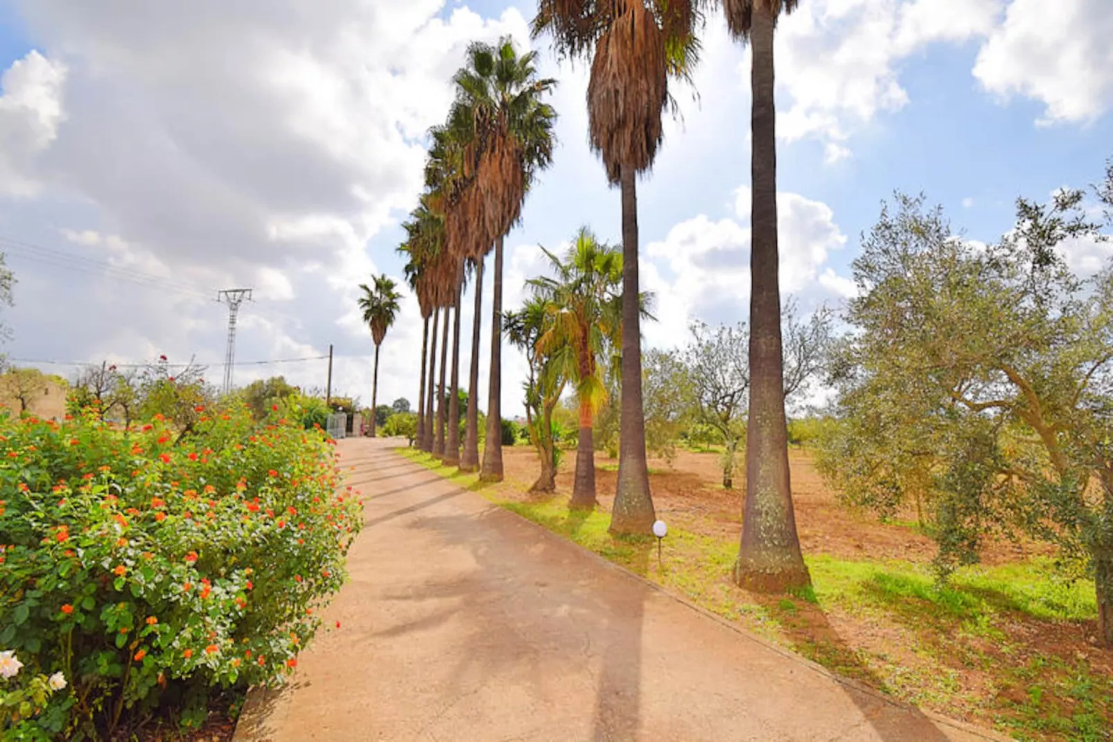 Maison à Campanet-Nicht zugeordnet