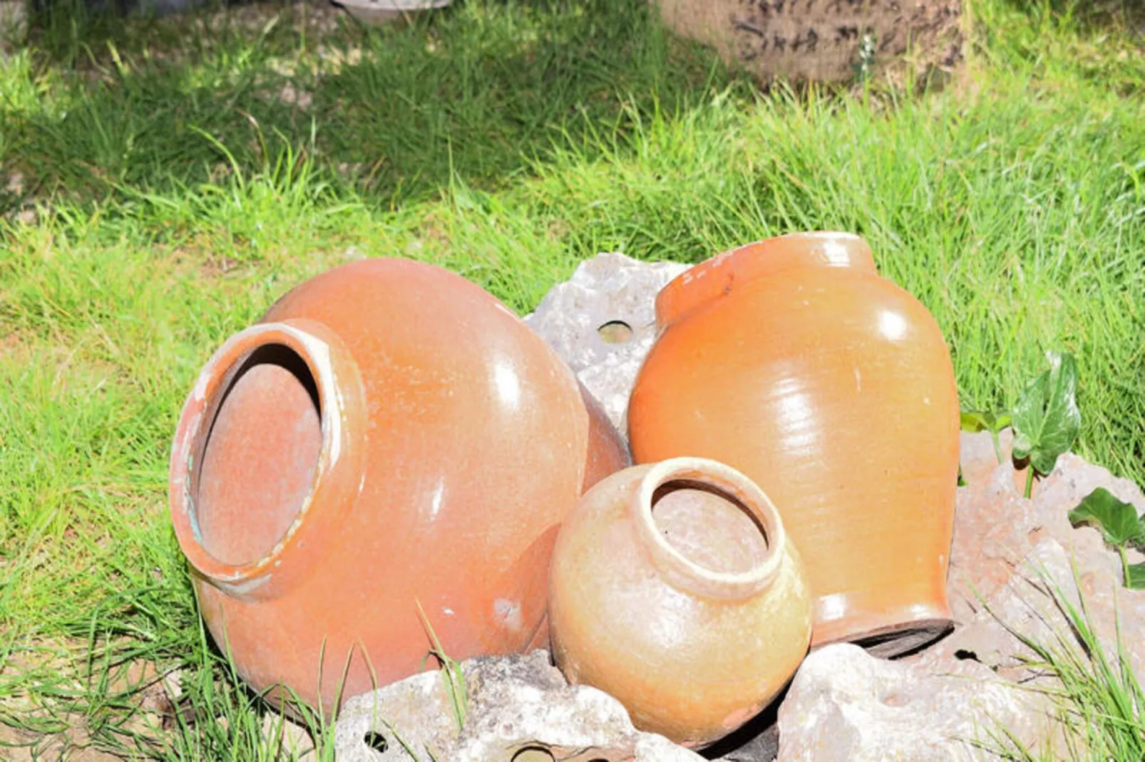 Maison à Muro-Non tagué