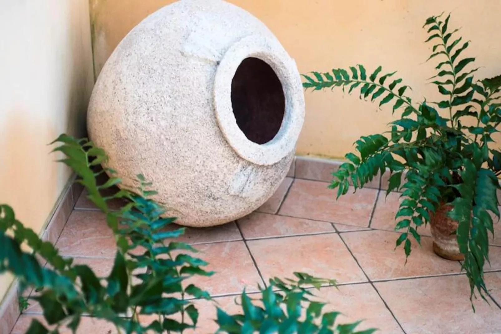 Maison à Muro-Nicht zugeordnet