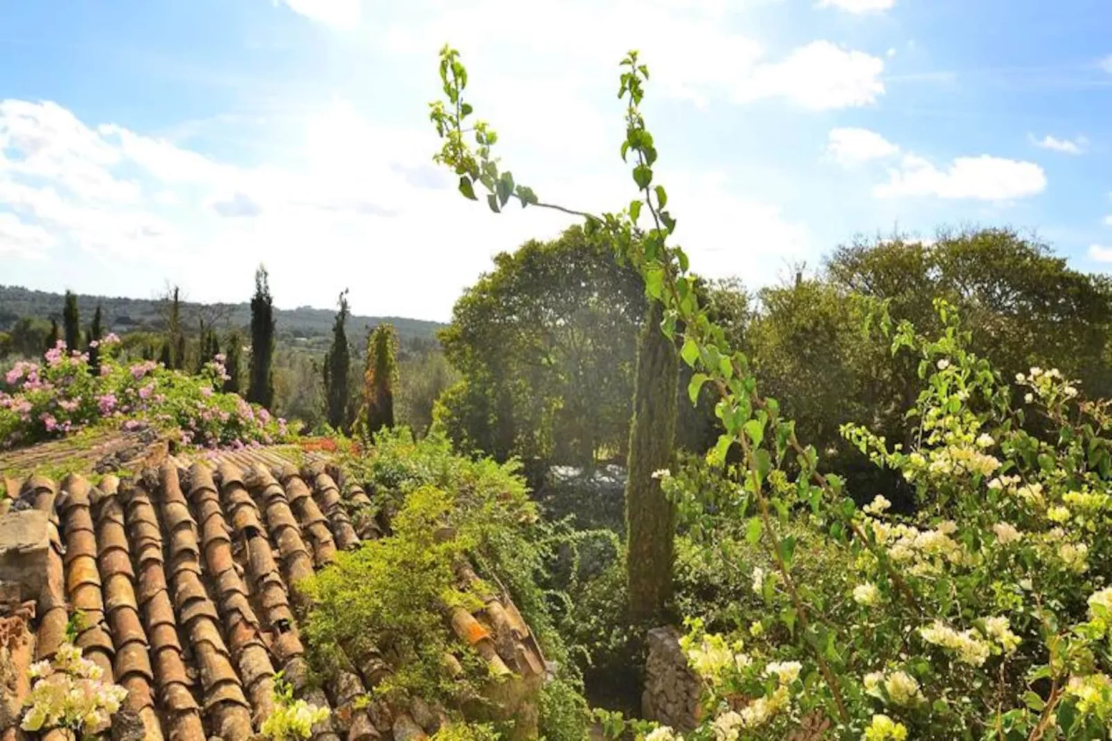 Maison à Llubí-Non tagué