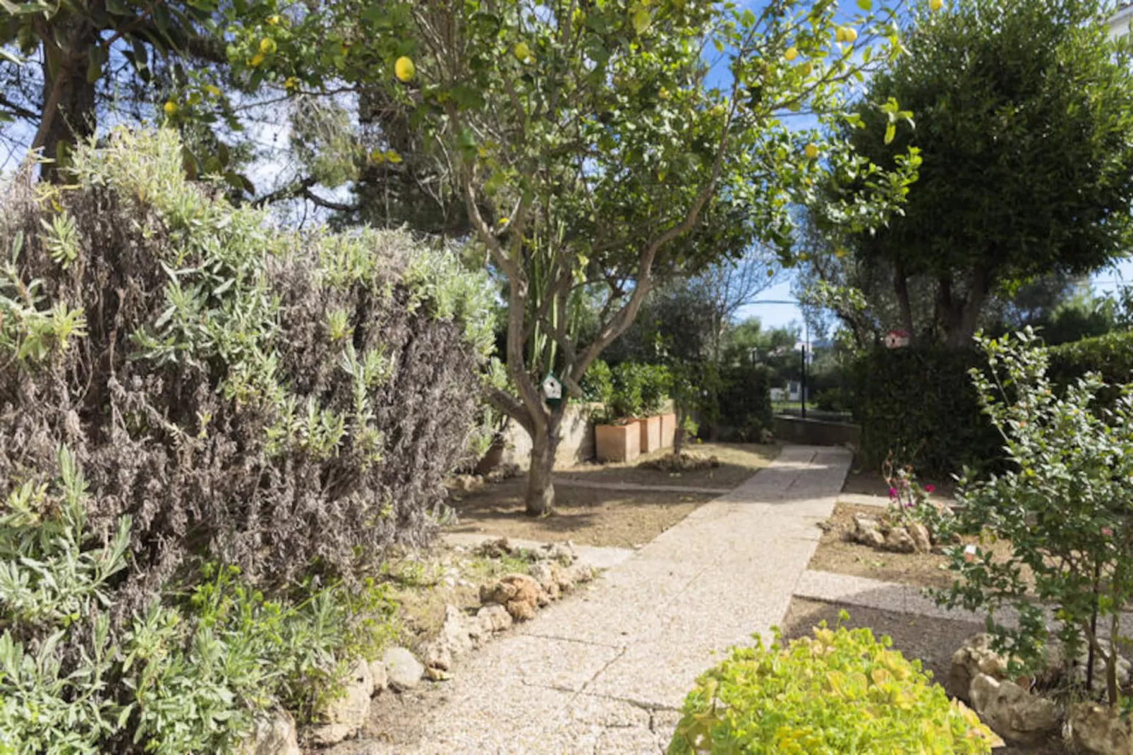 Maison à Alcúdia - Port d'Alcúdia-Non tagué